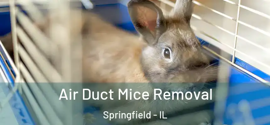 Air Duct Mice Removal Springfield - IL