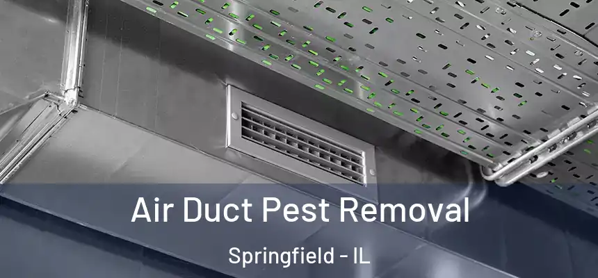 Air Duct Pest Removal Springfield - IL