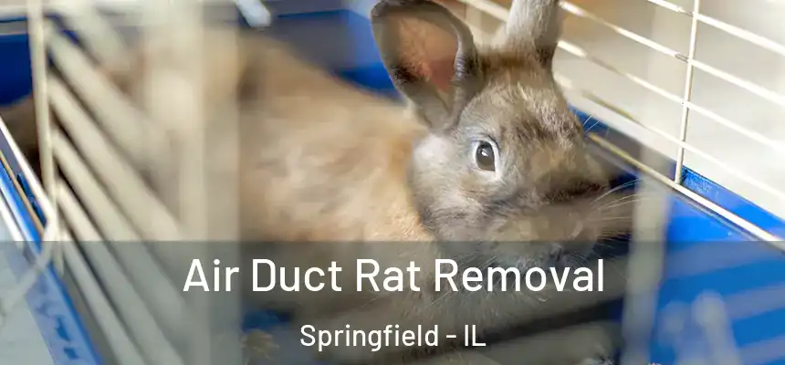 Air Duct Rat Removal Springfield - IL