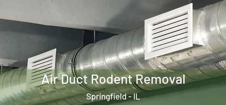 Air Duct Rodent Removal Springfield - IL