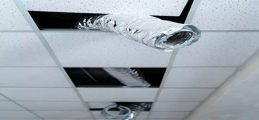 Affordable HVAC Sanitizing After Pest Removal in Springfield