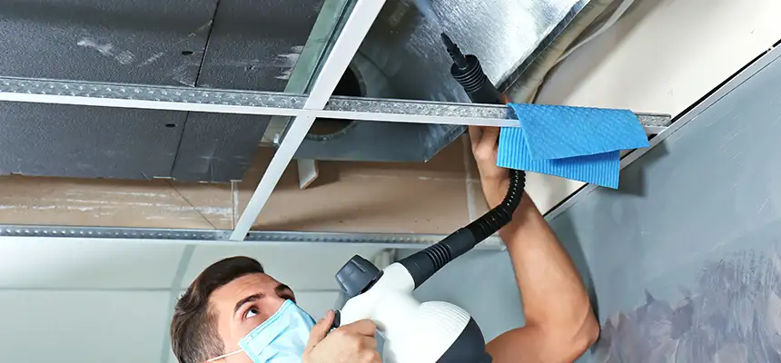 Our Air Duct Rodent Removal Services in Springfield, IL