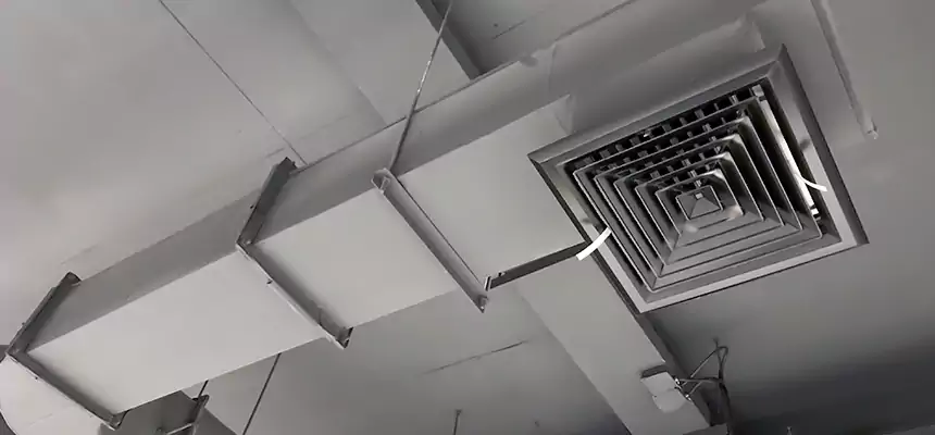 Our Pest Removal From Ducts Services in Springfield, IL