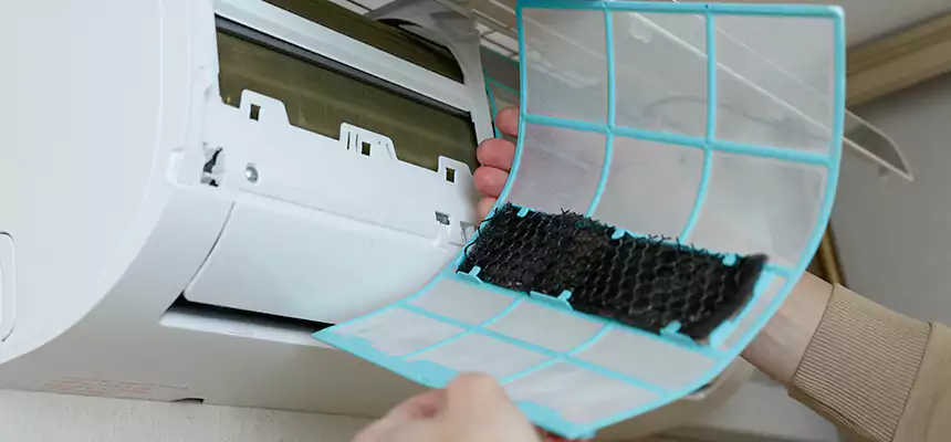 Gentle Ductwork Odor-Control Pet Dander Duct Cleaning in Springfield, IL