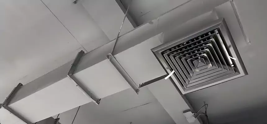 Our Rodent Droppings In Vents Services in Springfield, IL