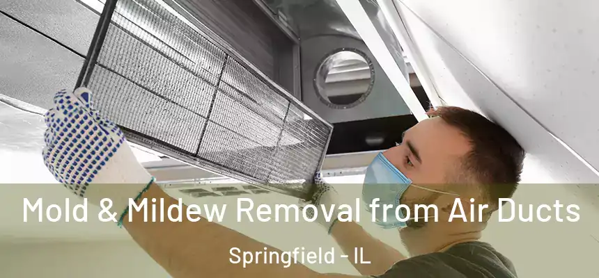 Mold & Mildew Removal from Air Ducts Springfield - IL