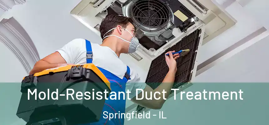 Mold-Resistant Duct Treatment Springfield - IL