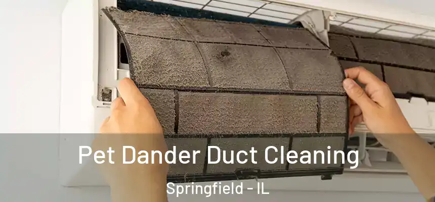 Pet Dander Duct Cleaning Springfield - IL