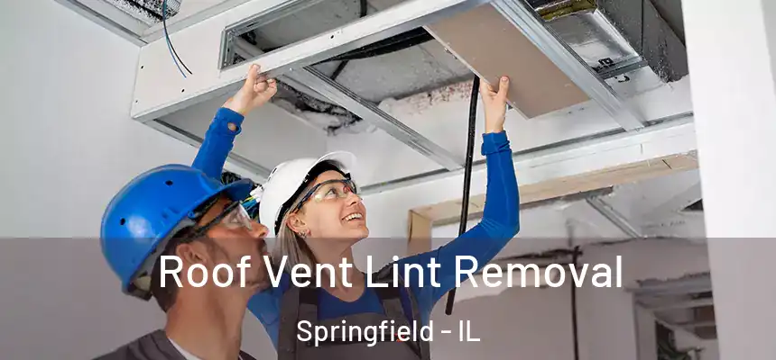 Roof Vent Lint Removal Springfield - IL