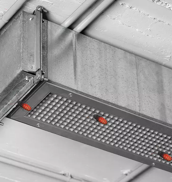 About Air Duct Cockroach Removal in Springfield, IL
