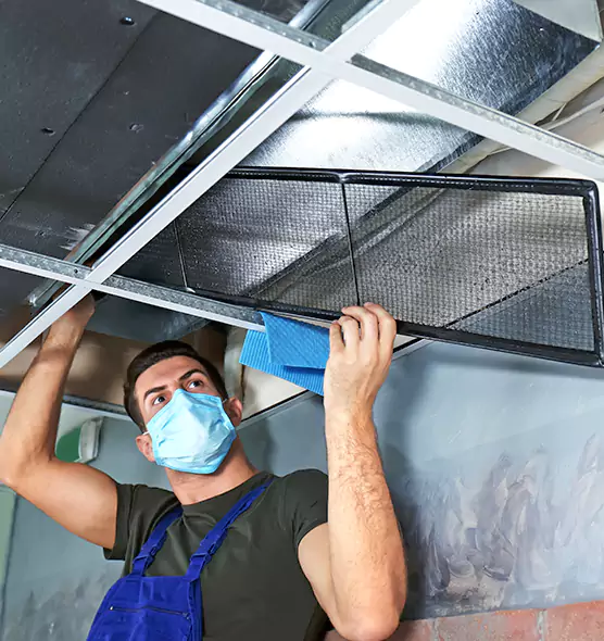 Professional Air Duct Pollen Cleaning in Springfield, IL