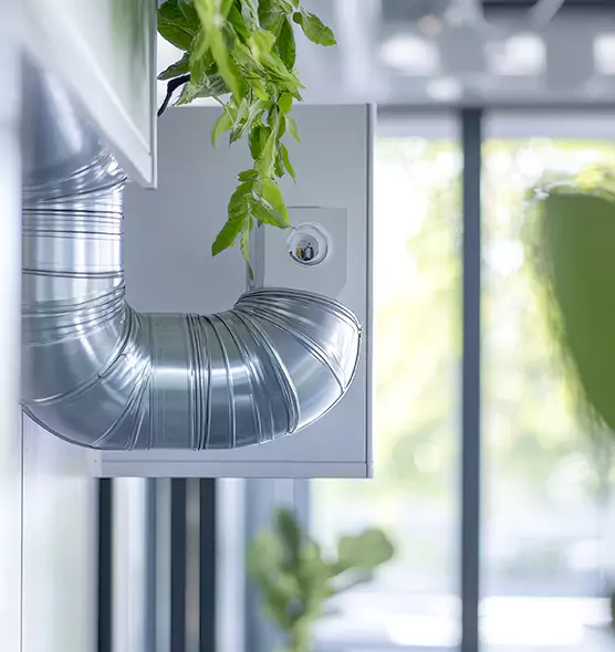 Professional Eco-Friendly Duct Cleaning Services in Springfield, IL