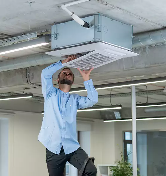 Advanced Rodent Droppings In Vents in Springfield, IL