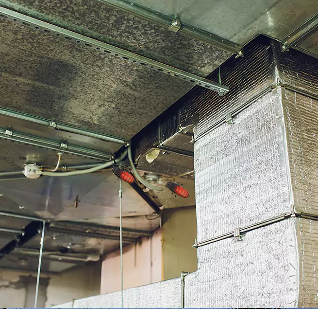 Why Homeowners & Businesses Trust Us in Springfield, IL?