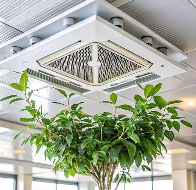 Why Homeowners & Businesses Trust Us in Springfield, IL